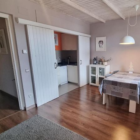 Apartment Sant Francesc Olot Ngoại thất bức ảnh