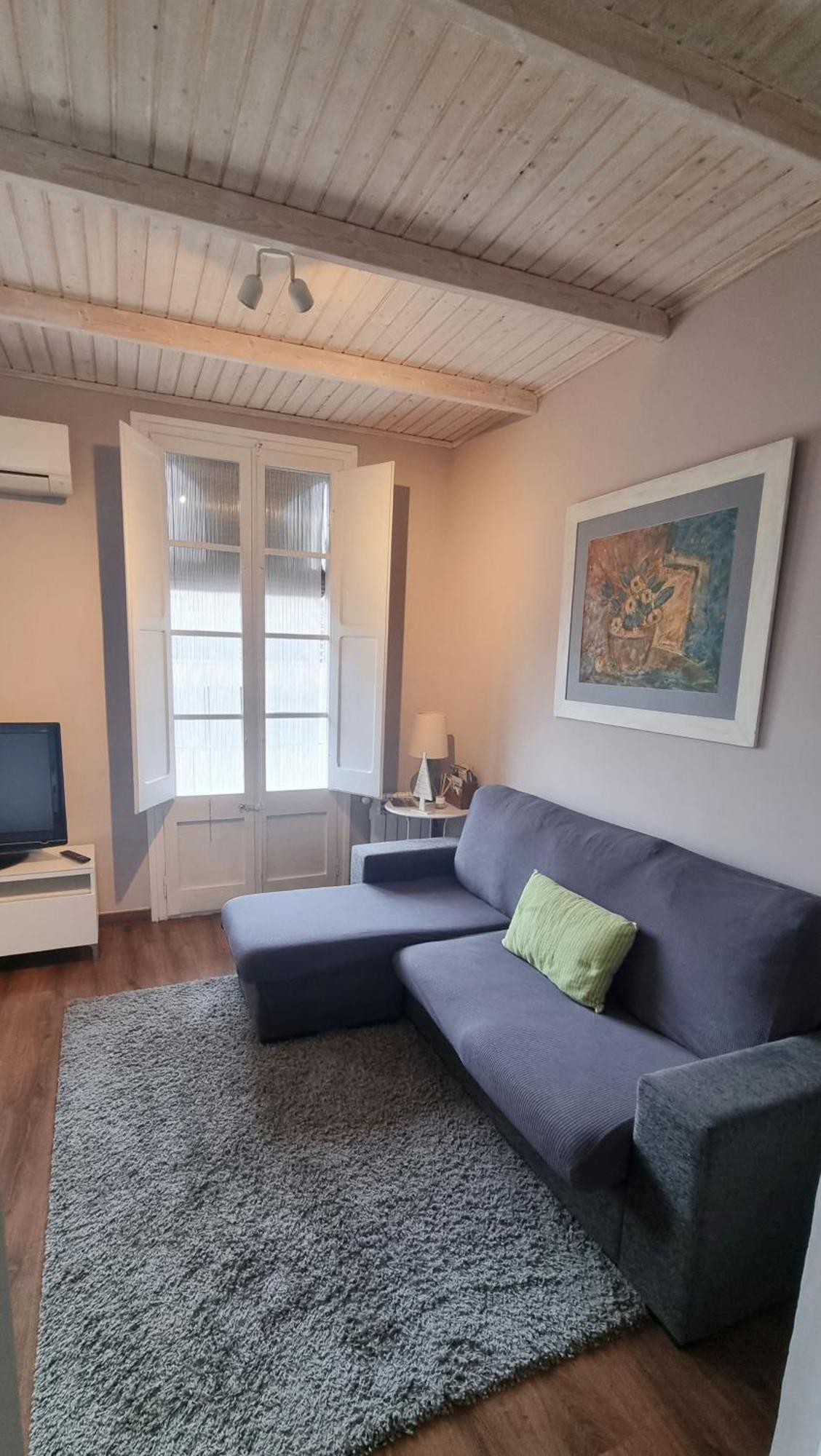 Apartment Sant Francesc Olot Ngoại thất bức ảnh