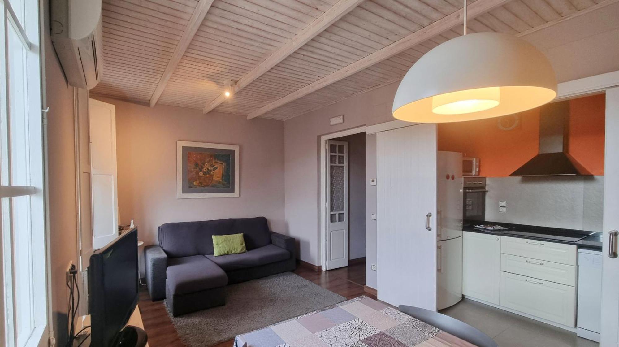 Apartment Sant Francesc Olot Ngoại thất bức ảnh