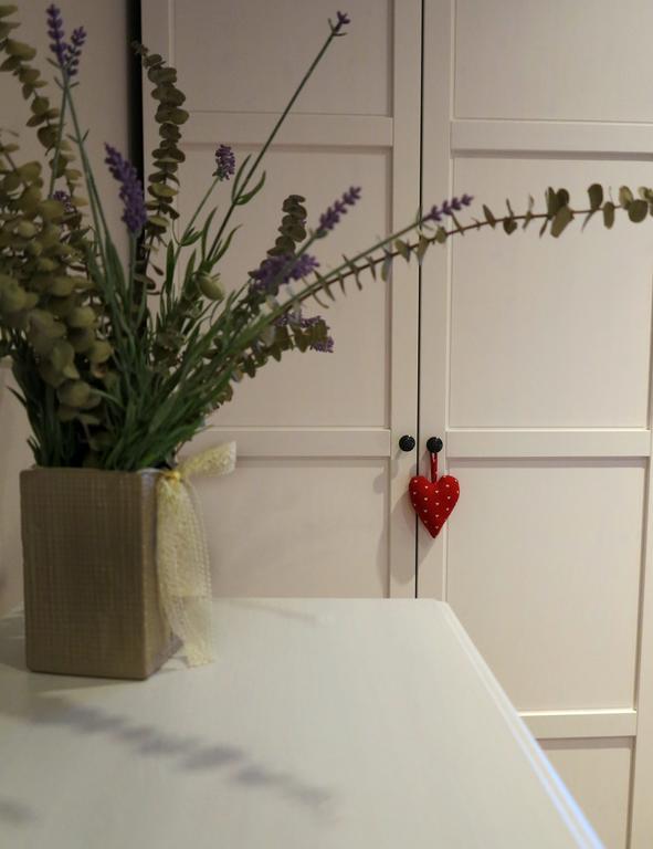 Apartment Sant Francesc Olot Ngoại thất bức ảnh